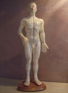 פסל המראה נקודות דיקור ומרידיאנים בקליניקה מעלה אדומים של אסתר חן